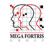 Mega Fortris South Africa (Pty) Ltd image 1