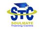 Soulmate Training Centre logo