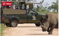 Kruger National Park Safaris Tour operator image 5