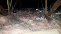 Roof Cleaning & Ceiling insulation Services image 3