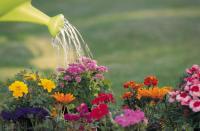 Rent a Gardener (Pty)Ltd, Inc Rent a Domestic image 17