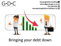Gauteng Debt Counselling image 1