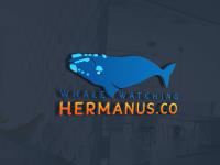 Whale Watching Hermanus image 6