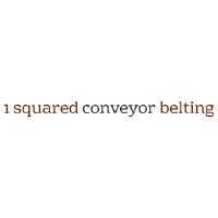 1 Squared Conveyor Belting image 9