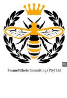 ZwaneSithole Consulting image 1