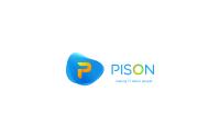 Pison IT Solutions image 1