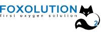 Foxolution Systems Engineering cc image 1