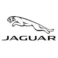 Jaguar Sandton image 1