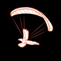 Birdmen Paragliding image 1