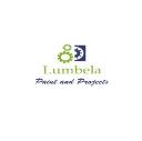 Lumbela Contractors (PTY) LTD logo