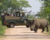 Kruger National Park Safaris by Kurt Safari image 5