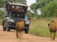 Kruger National Park Safaris by Kurt Safari image 6