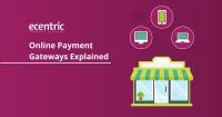 Ecentric Payment Solutions image 7