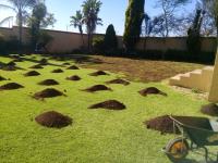 Lawnking Treefelling and Landscaping  image 3