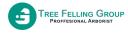Tree Felling Group - Pretoria logo