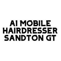 A1 Mobile Hairdresser Sandton GT image 1