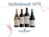 Koelenhof Winery image 2