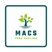 Macs Tree Felling image 7