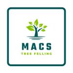 Macs Tree Felling image 6