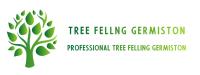 Tree Felling Germiston image 8