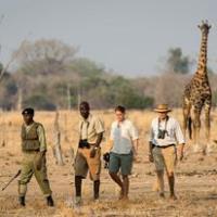 Afrika Jack Safaris image 9