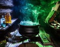 Black Magic Psychic Herbalist Healer  image 25