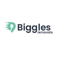 Biggles Removals image 1