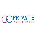 Go Private Investigator Johannesburg logo
