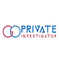 Go Private Investigator Pretoria image 1