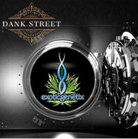 Dank Street Pty Ltd image 1