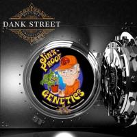 Dank Street Pty Ltd image 2