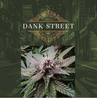 Dank Street Pty Ltd image 6