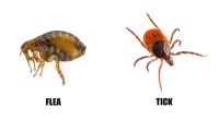 Evolution Pest and Hygiene Services image 5