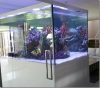Custom Aquariums image 6
