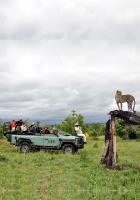 Shinzelle Safaris image 4