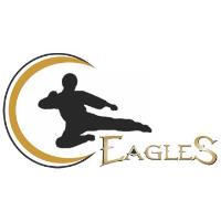 Eagles Karate Club - Hennopspark image 4