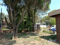 Pretoria East Treefelling image 5