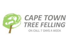 Cape Town Tree Felling image 1