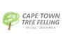 Cape Town Tree Felling logo