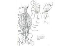 Win At Sport, spinal,body pain & fitness center image 10