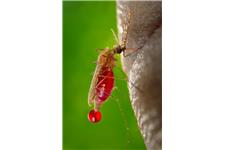 Pest Control Specialist image 6
