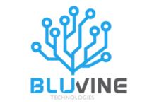 Blu Vine Technologies image 1