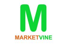 Marketvine Electronics Ltd image 1