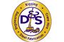 D&S Engineering and Rigging Service logo