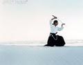 Mushindo Aikido School of Samurai Martial Arts image 2