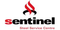Sentinel Steel image 1