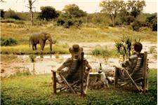 African Safari Guru Tours & Road Transfers image 5