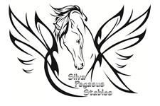 Silva Pegasus Stables image 1