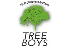 Treeboys - Tree Felling Port Elizabeth image 1