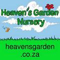 Heaven's Garden Nursery showroom at le Jardin du Paradis image 2